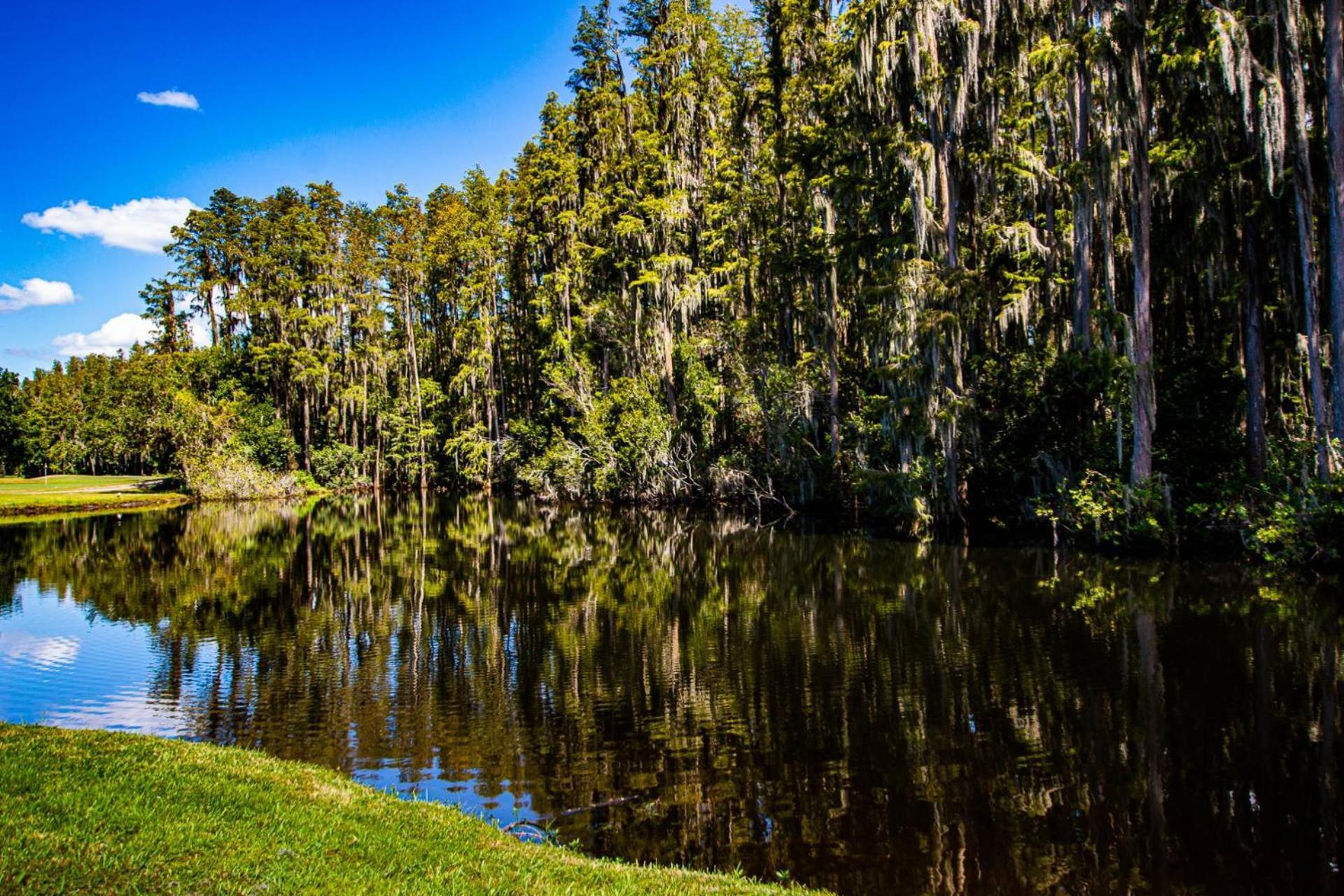 Golf And Tennis Community Studio - Peaceful Pond Paradise - Pet Friendly Villa Уесли Чапел Екстериор снимка